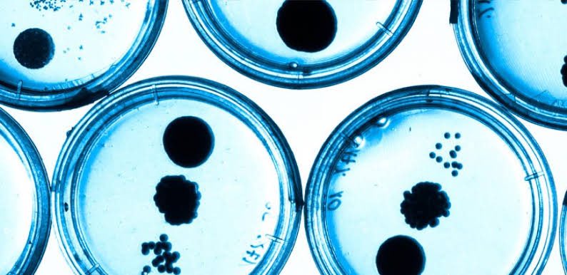 #AntimicrobialResistance is a water issue, projected to kill 10 mn people every year by 2050.

The <a href="/siwi_water/">SIWI</a> Responsible Antibiotics Manufacturing Platform works w/ procurement pioneers &amp; pharmaceutical industry to tackle the problem.

👉 siwi.org/what-we-do/ram… #WorldWaterDay