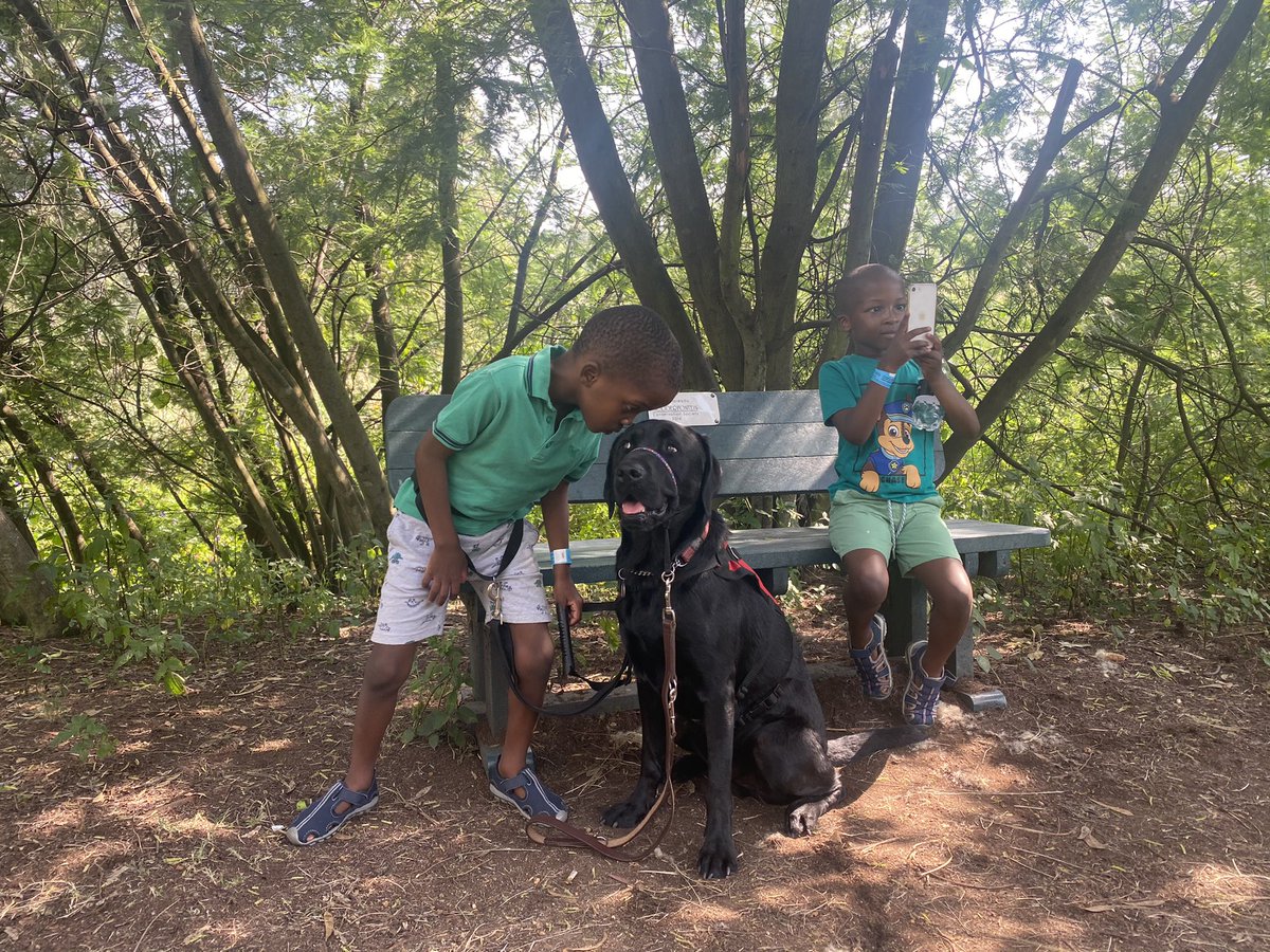 balwa1's tweet photo. Hiking with Peyo
#autismacceptance
#autismsupportdog https://t.co/4SIsPmLK6L