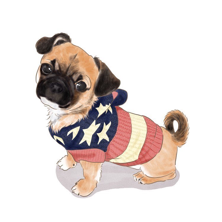 Bin Okmr Mari ねぇ 絶妙な眉毛 可愛すぎるくない チワワとペキニーズのmixです わさびくん 犬のイラスト 犬 どうぶつ イラスト お絵描き 落書き 日常イラスト ゆるゆる 絵描きさんと繋がりたい イラスト好きな人と繋がりたい