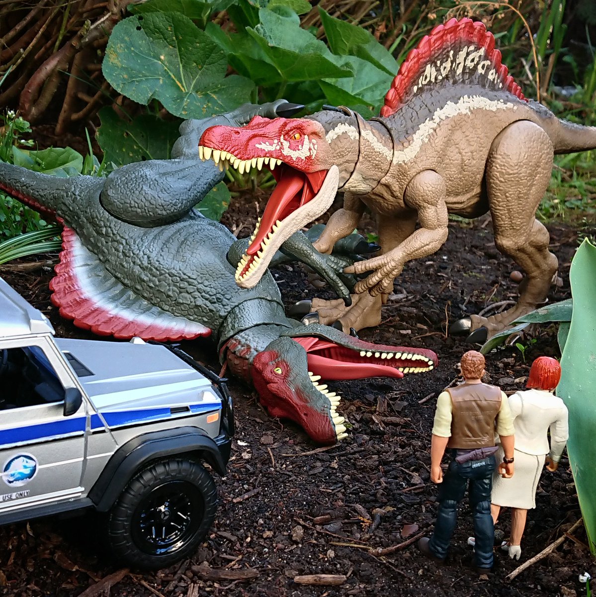 JurassicBap's tweet photo. Let them fight! @jurassicworld @Mattel #JurassicWorld #TheParkIsOpen #CampCretaceous #CampIsOpen #TheCampIsOpen #JurassicPark #IslaNublar #JurassicPark3 #IslaSorna #Dinosaur #Spinosaurus #MercedesBenz #G550 #Gclass #Gwagon #JurassicWorldGclass https://t.co/8FPUQgLN9E