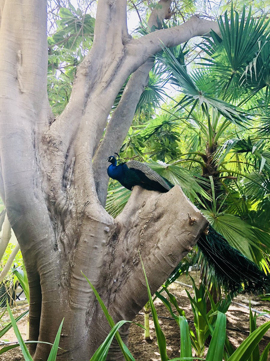 Latifa T&L tweet media