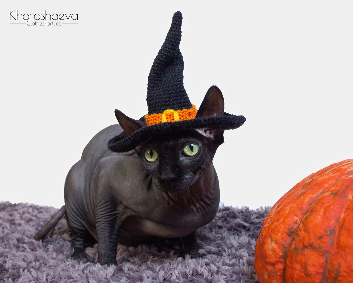 ClothesForCat's tweet photo. Excited to share the latest addition to my #etsy shop: Halloween Witch Hat for cat crochet pattern, Halloween costume for cat, Black witch hat for sphynx https://t.co/dcsmCG0Emo #crochet #birthday #christmas #catwitchhat #blackwitchforcat #halloweencathat #cathatpatter https://t.co/EbGEl1sNH5
