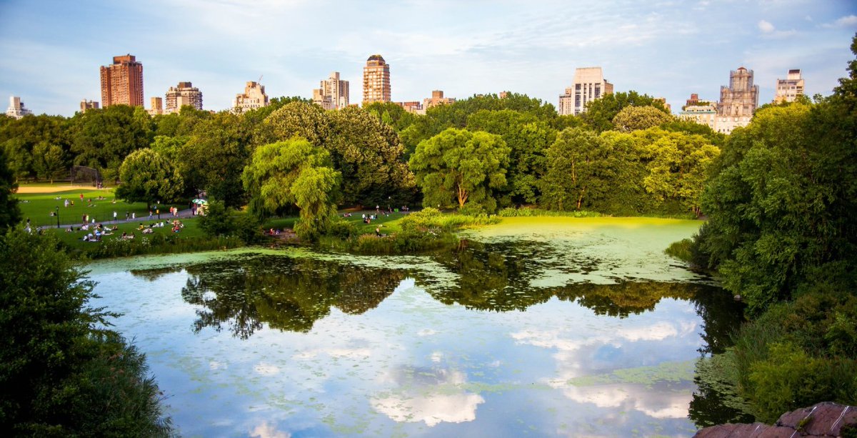 In less than 1 hour #GreenerRecovery Festival will welcome a diverse and international audience on an accessible online platform, with <a href="/VSinkevicius/">Virginijus Sinkevičius</a>, European Commissioner for Environment giving a keynote speech on Day 1.  LAST CHANCE TO JOIN: bit.ly/2OYfXu1?utm_ca…