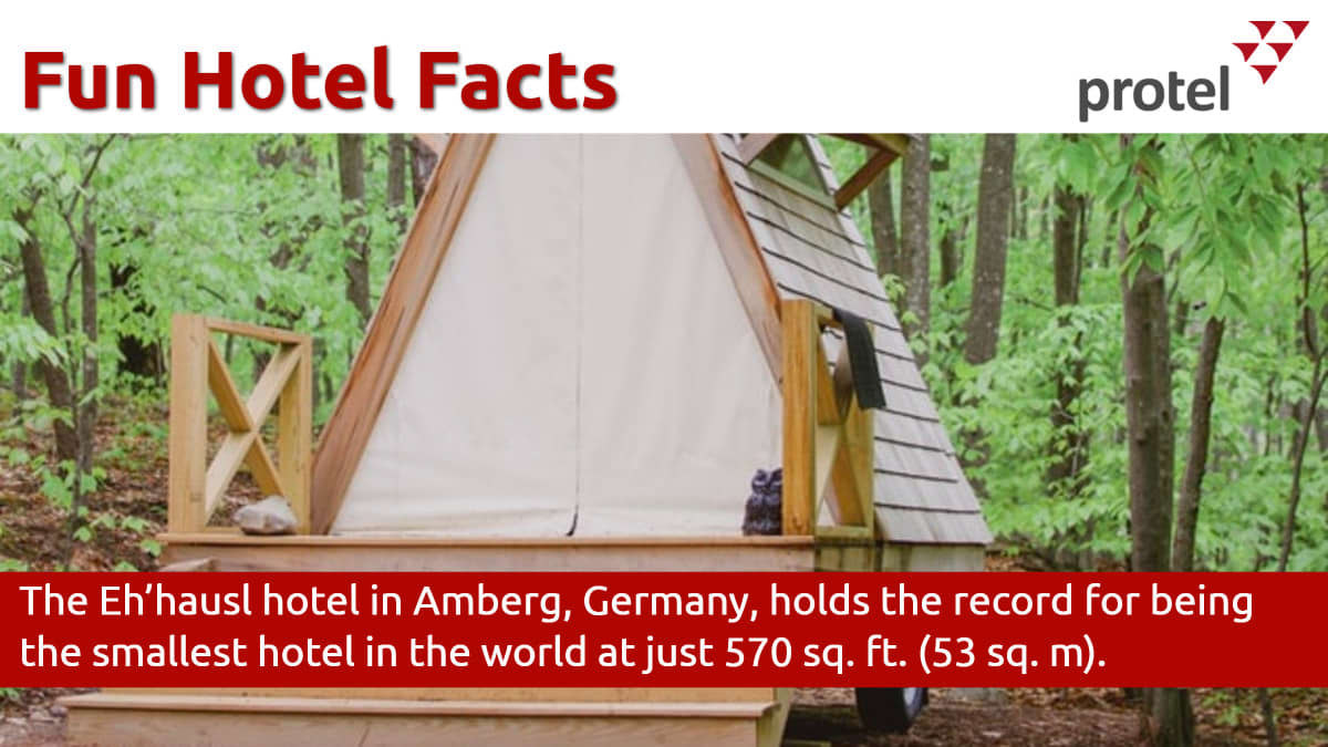 Lindz_i's tweet photo. #funfacts #hotels #protelfamily https://t.co/yaouX564dK