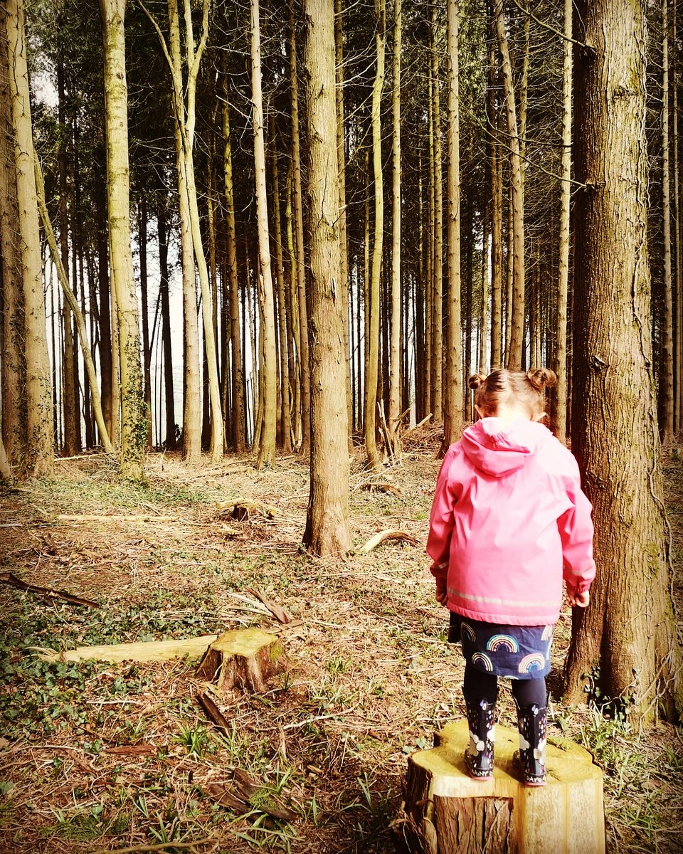 Victoriaand85's tweet photo. Fill your life with adventures not things, have stories to tell, not things to show 💚🌍 https://t.co/mKcSfYVFjH