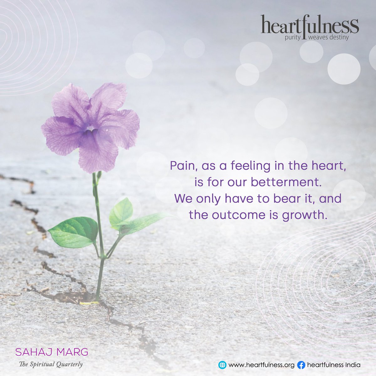 THE BEAUTY OF PAIN

Joelle Tosti explains how we can use pain to heal ourselves.
Sahaj Marg magazine, January 2021 hfn.link/quarterlyjan21

#heartfulness #meditation #daaji #SahajMarg #learntomeditate