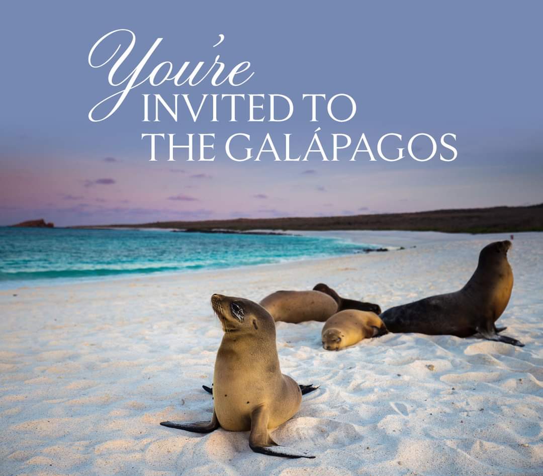 You're invited to the Galapagos
@CelebrityUK Join us Thurs 25 March @ 6pm fb.me/e/1jBppMmFM
Register today, limited places!!
#cruise #glapagos #celebritycruises