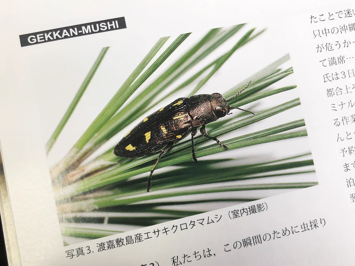 わわwa3 on X: 