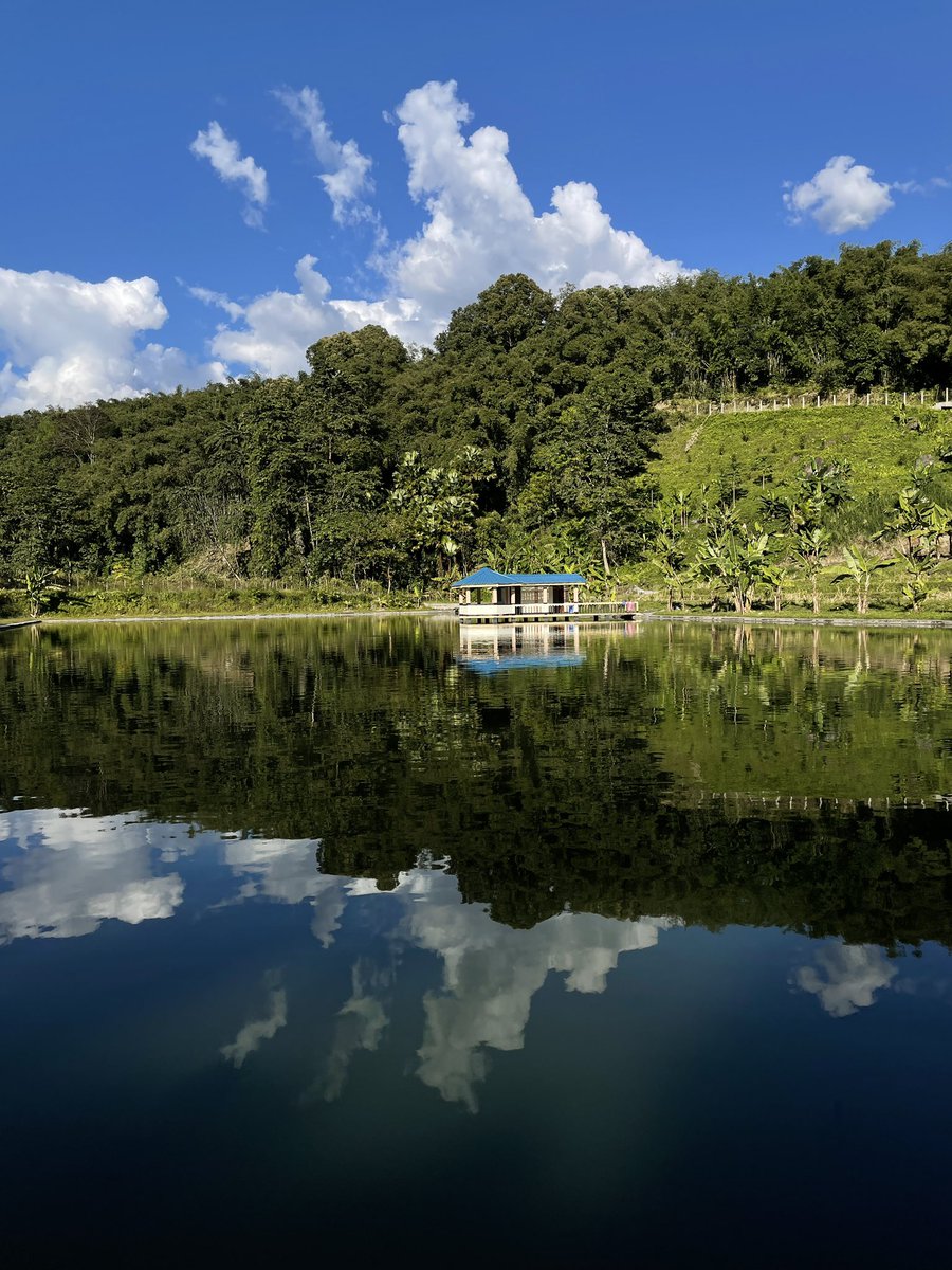AWExplorative's tweet photo. Yingkiong | Arunachal | India | 2021.

Greetings to you all on this World Water Day, 2021.

#ArunachalPradesh #uppersiang #Yingkiong @ArunachalTsm @ArunachalDIPR @SanctuaryAsia @grkbasar @NatGeoPhotos @IndiAves https://t.co/bjCulYXzzJ