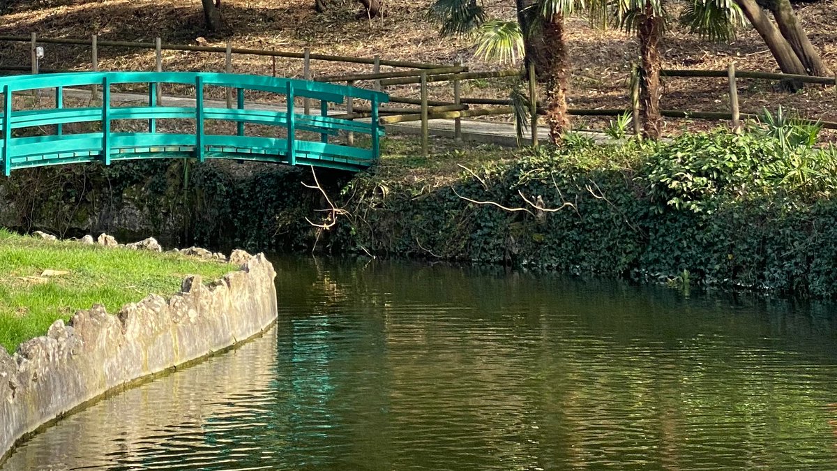 museomiramare's tweet photo. #GiornataMondialeDellAcqua
da #Miramare un piccolo contributo
recentemente è stata ripristinata la rete idrica che alimenta gli specchi d’#acqua nel #Parco sfruttando la falda acquifera nel sottosuolo
#cascate #laghi e #ruscelli indipendenti dall'#acquedotto
#SustainableSolutions https://t.co/d4VWLqRt8N