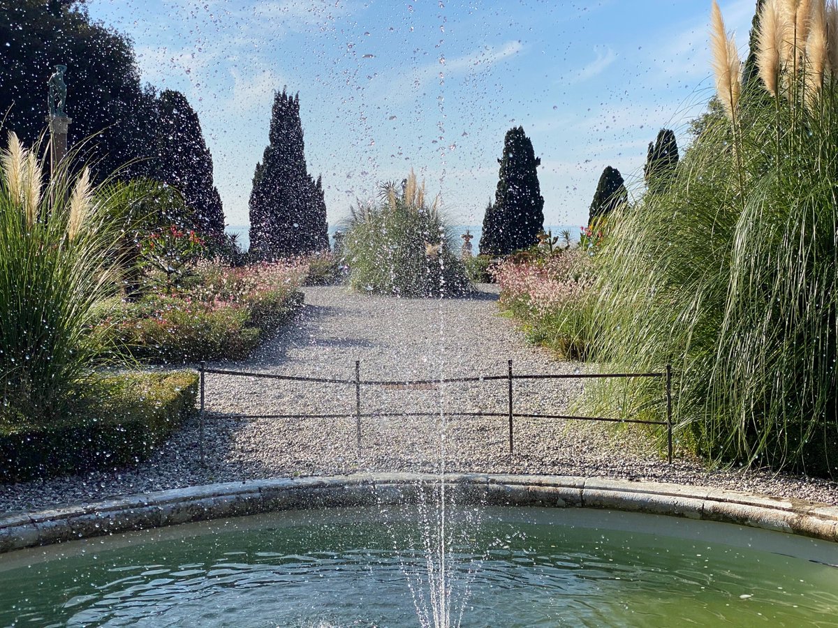 museomiramare's tweet photo. #GiornataMondialeDellAcqua
da #Miramare un piccolo contributo
recentemente è stata ripristinata la rete idrica che alimenta gli specchi d’#acqua nel #Parco sfruttando la falda acquifera nel sottosuolo
#cascate #laghi e #ruscelli indipendenti dall'#acquedotto
#SustainableSolutions https://t.co/d4VWLqRt8N