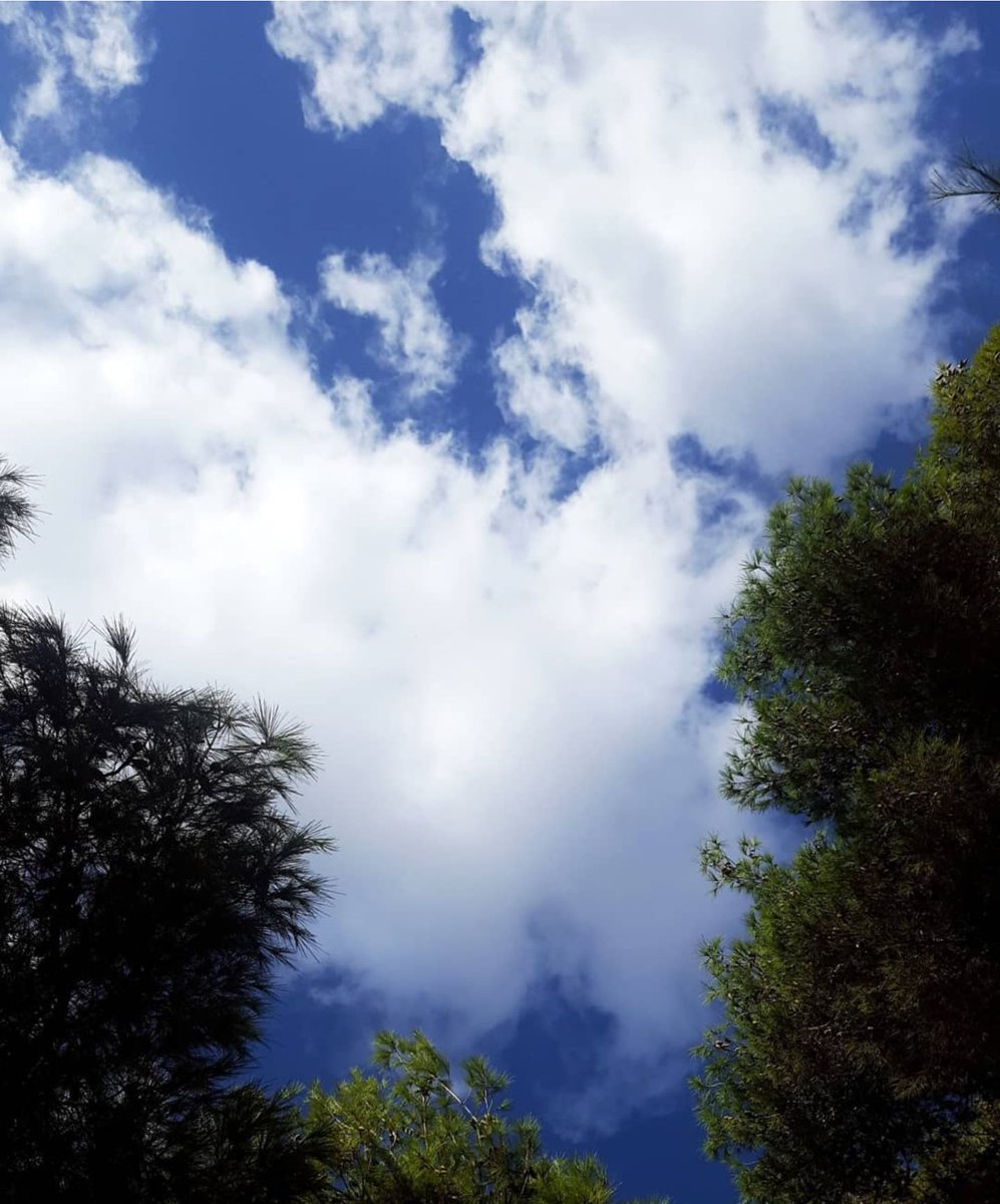 NouraAAfifi's tweet photo. How beautiful the sky is!โจThe beautiful clouds of the sky, which resembles the white full of beauty. Photo and caption by Aya Natout; grade 3. #CaptureChallenge #AishaSpringFestival @MakAishaSchool @NorahD91 https://t.co/76Mp9BrWb4