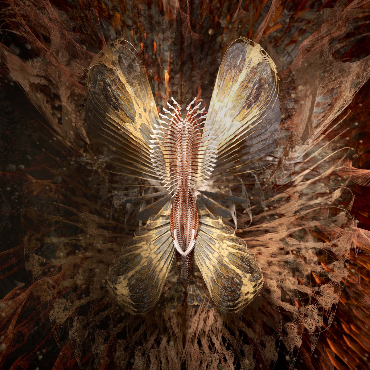 alicelabourel's tweet photo. New NFT available on #OpenSea #NFTs #NFTdrop #digitalart #3dart #cryptoart 

Part of the "The Death of the Moth" Collection.

https://t.co/uicITAn8q8 https://t.co/qen8l8rWdc