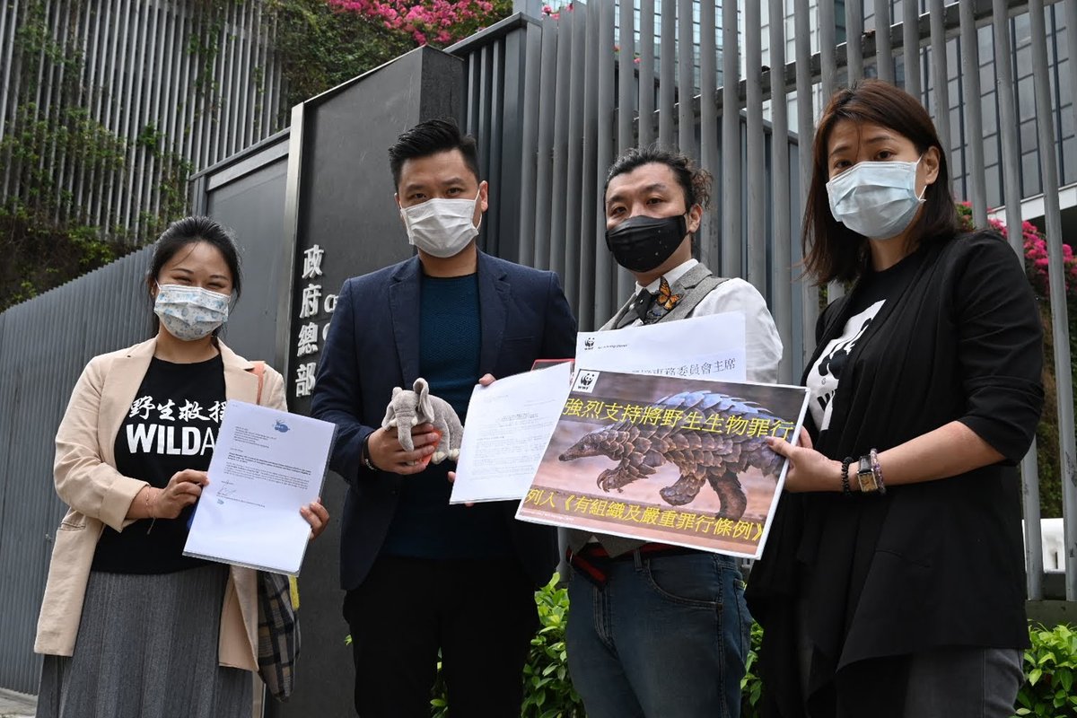 Representatives from @ADMCapFound, @Bloom_FR, @WildAidHK & @wwfhk came together today to submit letters on behalf of Hong Kong Wildlife Trade Working Group members and to share findings from our latest report with legislators: bit.ly/3f3bCjZ