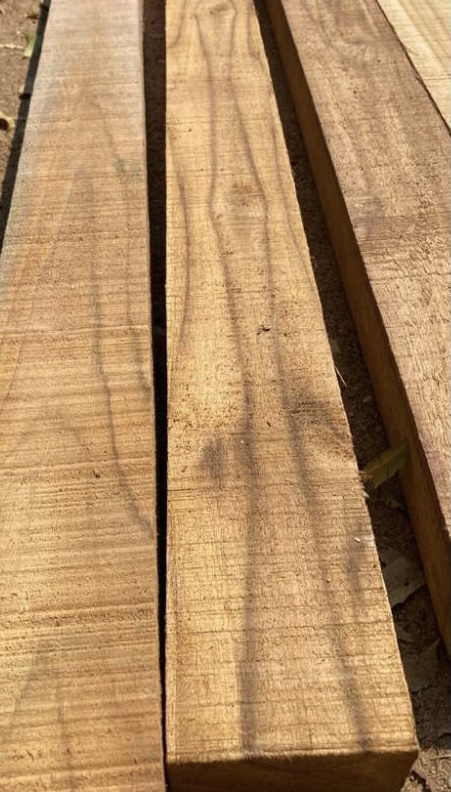 Mere Plantations tweet media