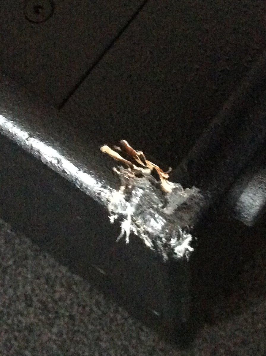 Appozone tweet media