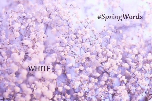 SpringWords1's tweet photo. All the fluffy blossoms. Today's #SpringWords prompt is WHITE.

@LexiIsAWriter @Playplacenovel @PromptList @PromptAdvant https://t.co/5zPL8FNiiL