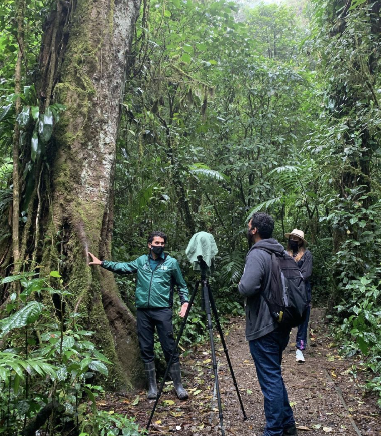 Overview Collective tweet media