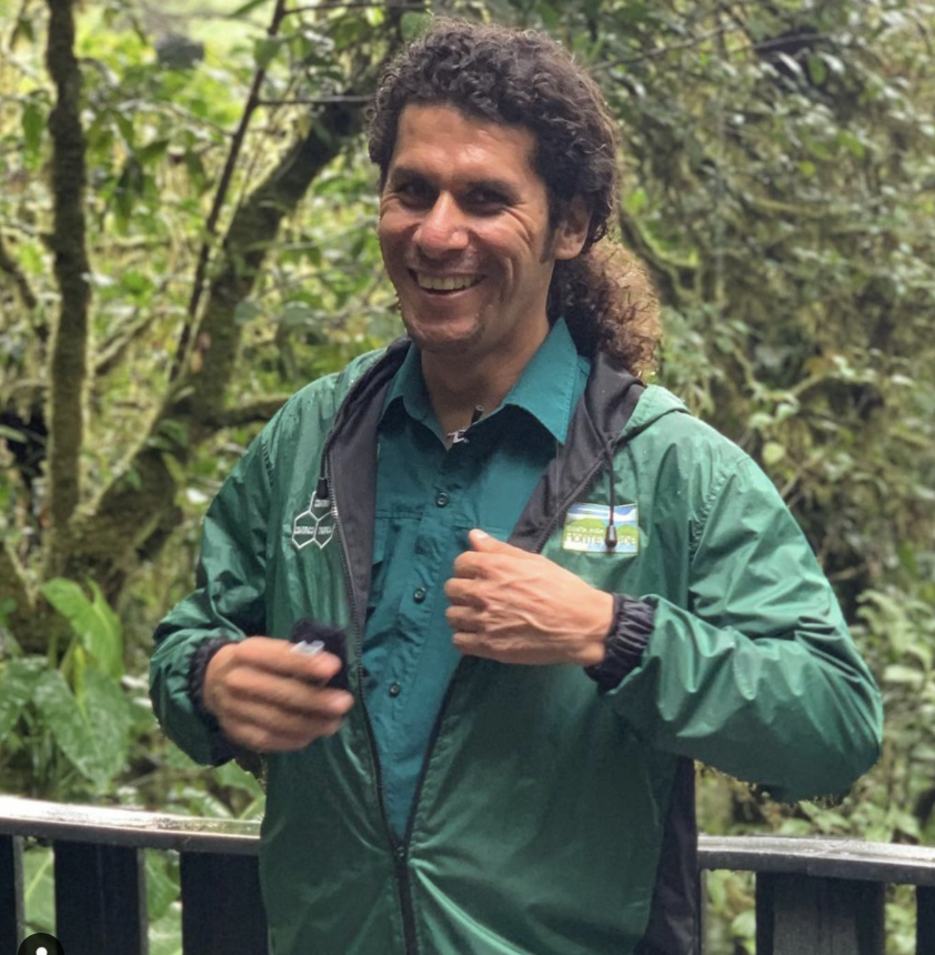 Overview Collective tweet media