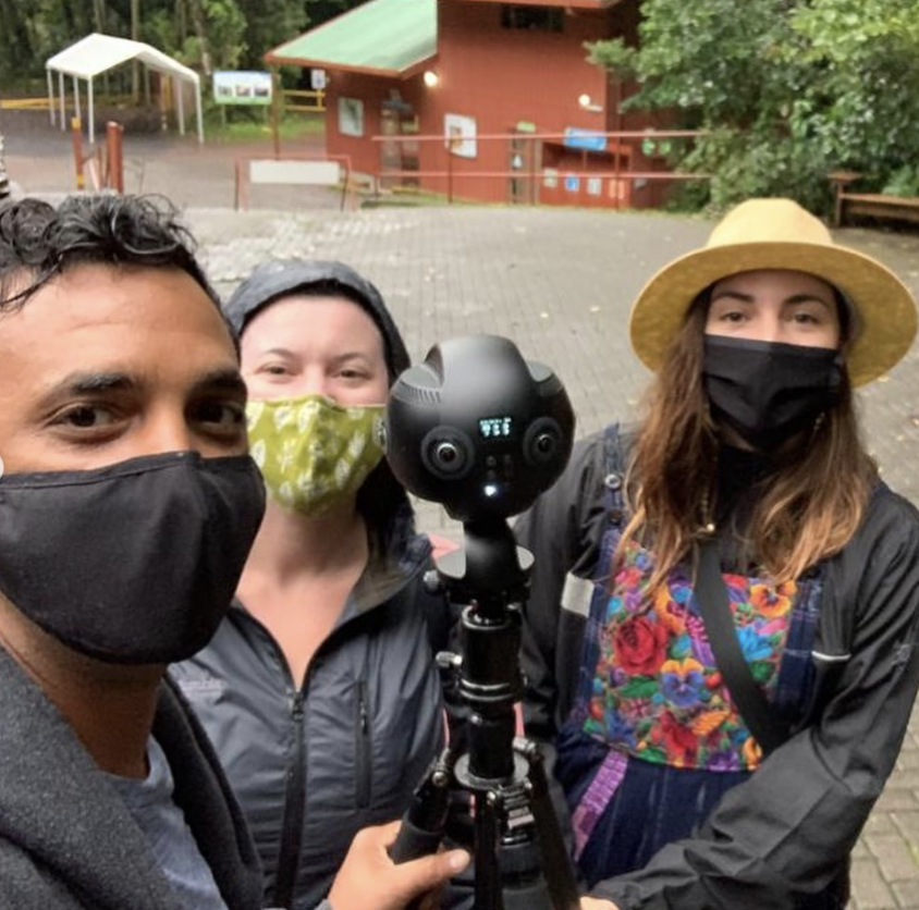 Overview Collective tweet media