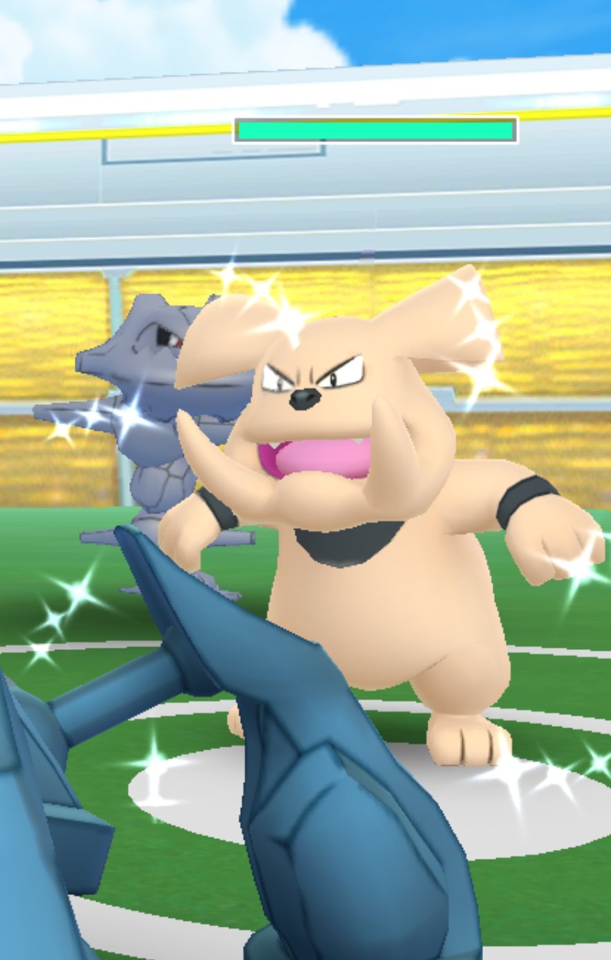 貝ガラガラ Ar Twitter グランブルの色違いはただの犬説 ポケモンgo 色違い T Co Rf5q0treyd Twitter