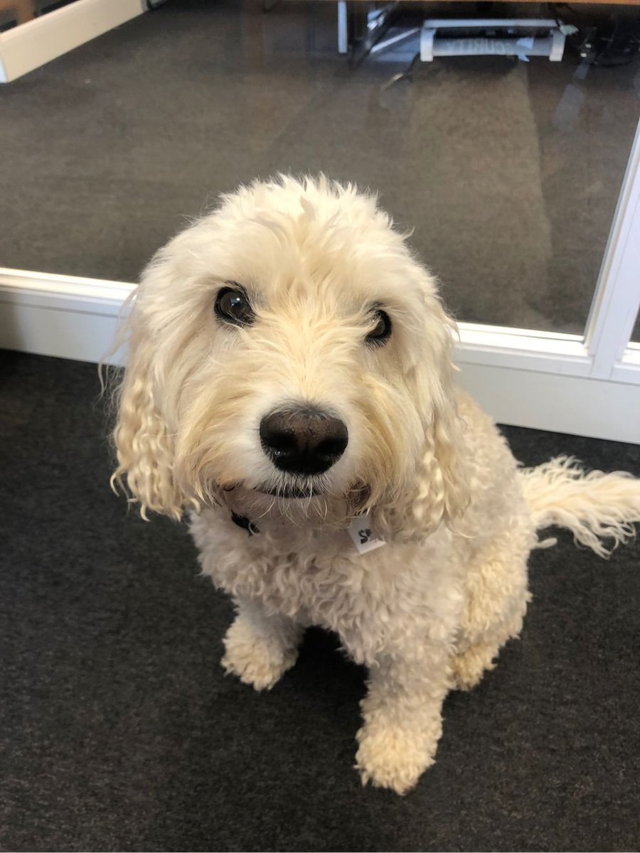 Back to the grind stone.... #security