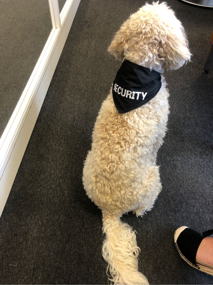 Quenchmeuk's tweet photo. Back to the grind stone.... #security https://t.co/0HgIuZSCkX