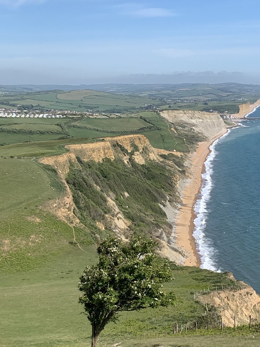 Chefs (specifically of bristol) if the rioting has put you off and you fancied escaping to a bit of this in Dorset please contact me.