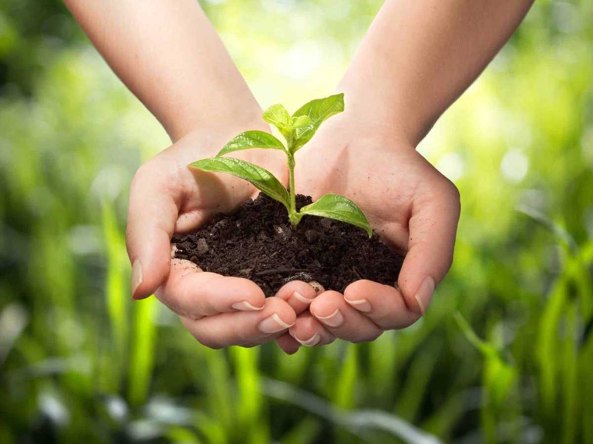 Bayer4CropsES's tweet photo. 💻 #BlogBayer | #Transgénicos: ¿son seguros para la #salud? Estas son las respuestas que da la ciencia a las preguntas más habituales sobre los transgénicos ⬇️
https://t.co/fgyv3uyV9U https://t.co/J3jIIVv5tF
