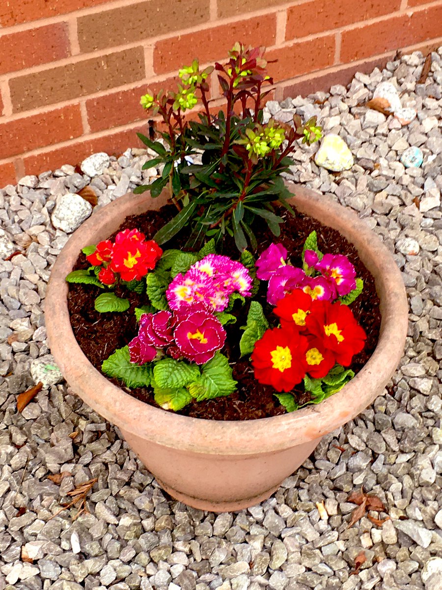 Duckers1964's tweet photo. Last week #teamduckers have been adding a little bit of spring colour and cheek to the out side of Oakview https://t.co/S79RIfJDxA