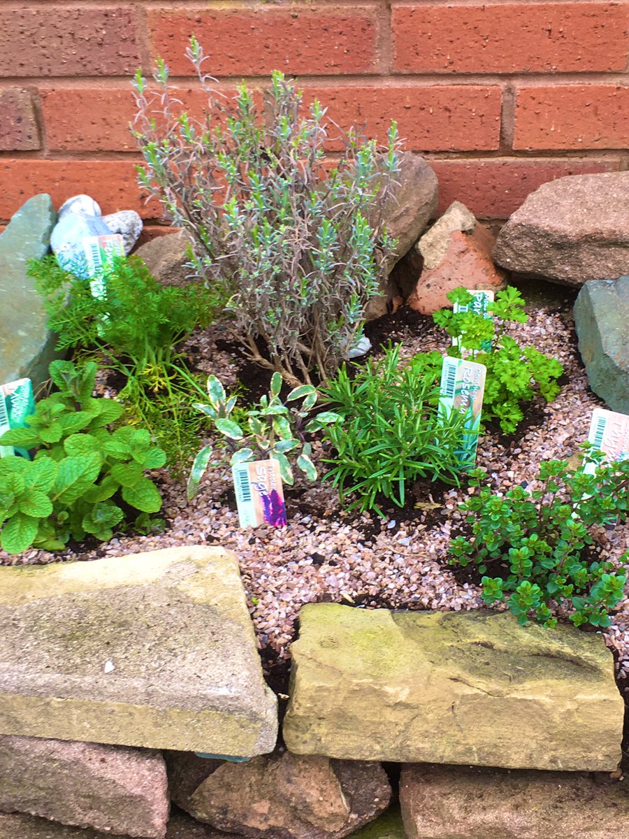 Duckers1964's tweet photo. Last week #teamduckers have been adding a little bit of spring colour and cheek to the out side of Oakview https://t.co/S79RIfJDxA