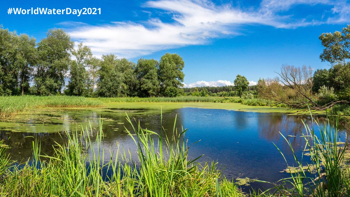 CBE_JU's tweet photo. 💦 Every single drop of #water is precious.
@BBI2020 aims to make the most of our natural resources &amp; enhance #sustainability.

For example, BBI JU-funded @eu_grete &amp; #LIPES projects developed industrial processes with ⬇️ reduced water consumption ✅.

#WorldWaterDay2021 https://t.co/m95k07WGSo
