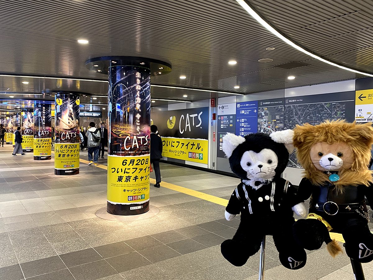 82%以上節約 劇団四季 キャッツぬいぐるみ fawe.org