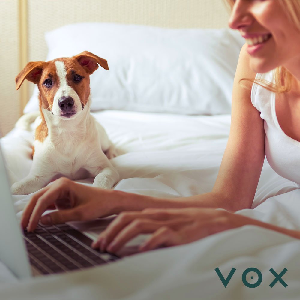 vox mcr tweet media