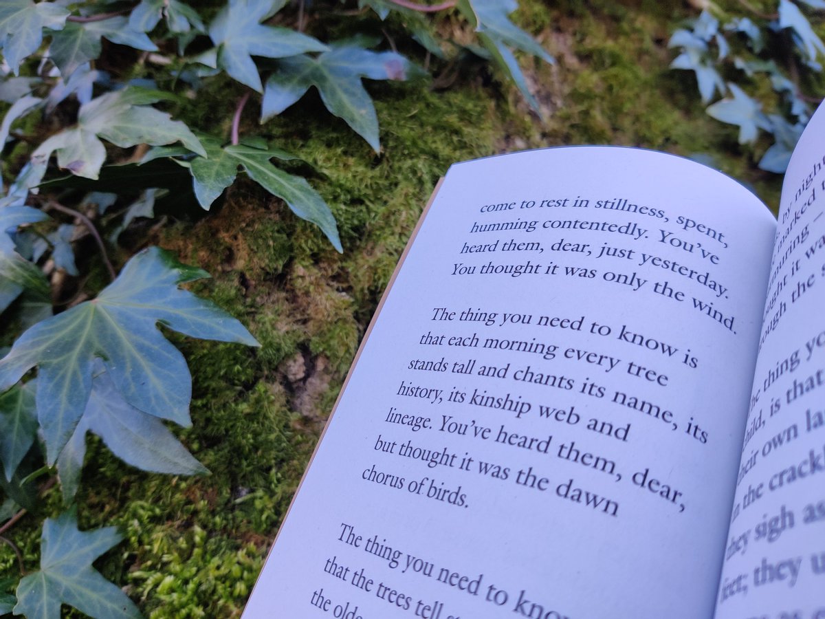 thehedgepress's tweet photo. "The thing you need to know is that each morning every tree stands tall and chants its name, its history, its kinship web and lineage. You've heard them, dear, but thought it was the dawn chorus of birds."
~ from Seven Little Tales by @terriwindling 
🌱
 https://t.co/0mSN0aFht2 https://t.co/sGs3kIdntK