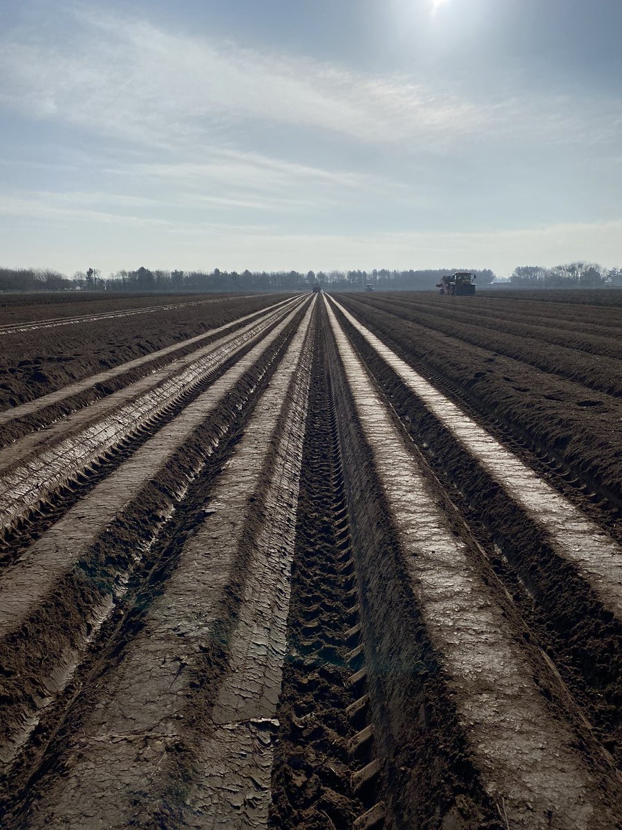 Planting 21. 6 days later than last year. 2020 Spuds still at £100 per ton. Farmer taking all the risk. Again.