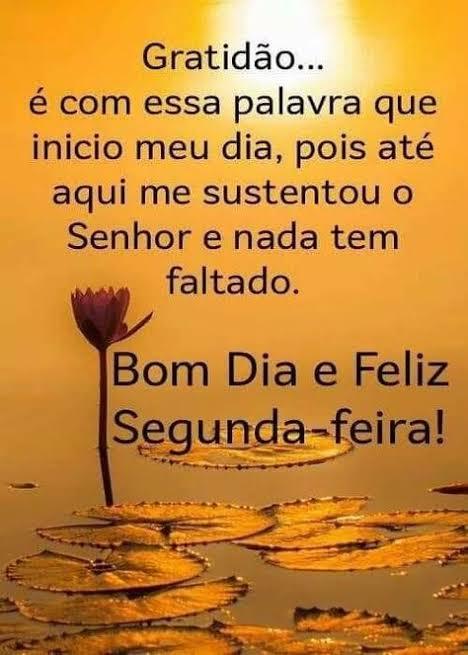 dramelissapandrade on Twitter: dramelissapandrade on Twitter: