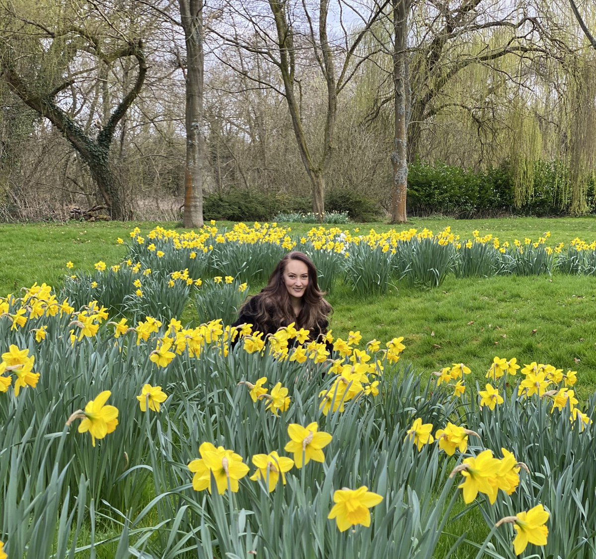 FrankieSk8's tweet image. Weโve let the daffodils grow wild at our house (the owners even wilder ๐น) ๐ผ #spring #springtime #springinmystep