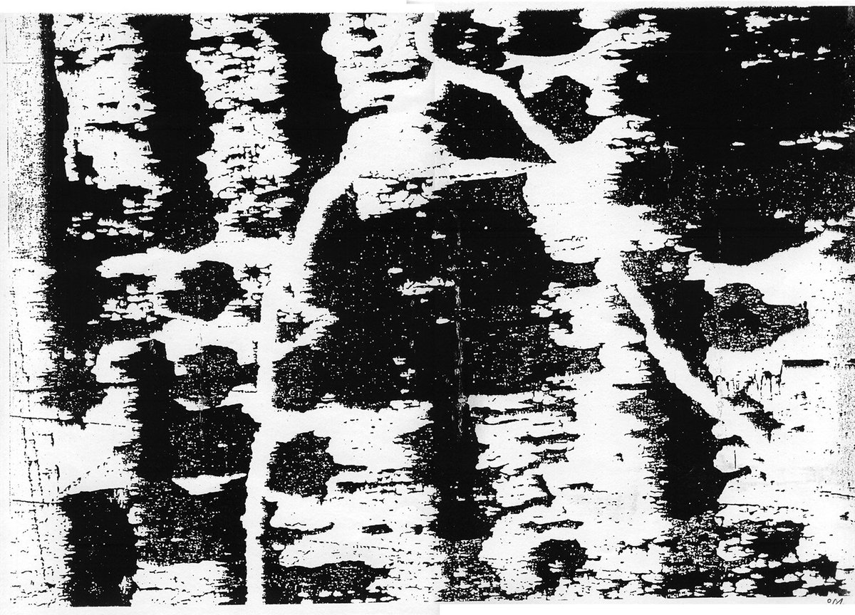 MattiaC's tweet photo. I know where I come from

https://t.co/5ByjGRbO8J

Is since 2000-and-something that I'm using the photocopy as an artistic medium. In @SuperRare you can find the tokens of my best (in my opinion!) artworks.

#mattiac #produkt #nft #crtyptoart #legacy #xerox #blackandwhite #noDrop https://t.co/CQn5WnduVx