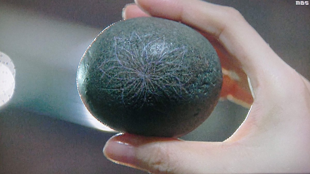 シヤカナローの花 Twitter Search Twitter