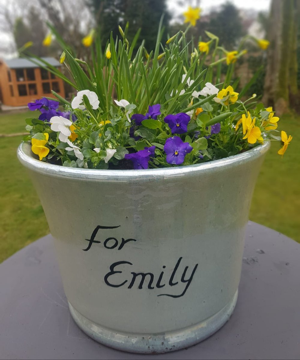 Louise Close tweet media