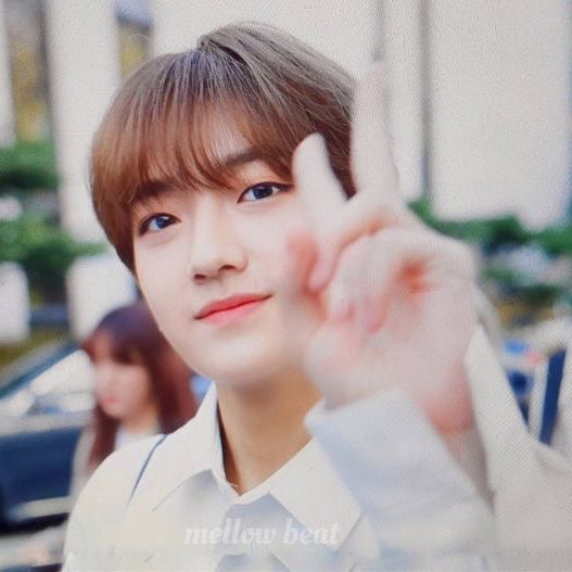 woosjwi's tweet photo. MY GA 🇲🇾 {HELP RT} 

🐝1 winner will be chosen!
🐝Winner will got 1 Ciipher Mini Album Sealed! 
🐝postage will be on me ^____^

Rules❗️
- must be following! 
- rt and like this tweet and my pinned tweet! 
- comment your Ciipher bias! 

End : when the albums arrive! #pasarciipher https://t.co/MQljtVFqQz