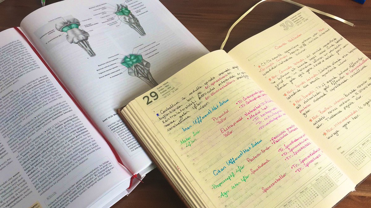 Günaydın herkese! Ben masaya geçtim. İlk molamda da güzel bir kahve yapmayı düşünüyorum. Bugün mesencephalon çalışacağım. Herkese kolay gelsin. 

#yks #yks2022 #yks2021 #anatomi #sobotta #tıp #tıpfakültesi #studywith
