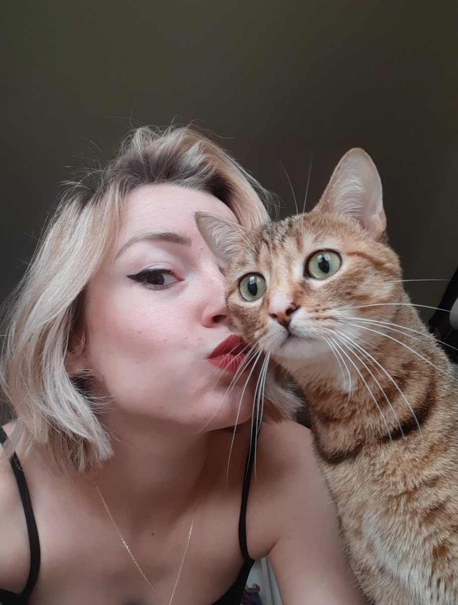 MaelleGuyard's tweet photo. Pitchoune s'est échappé de notre appartement depuis le 09/03, entre rue bicoquet et rue d'hastings à Caen. 
Pelage beige/roux tigré marron, grand yeux vert, pucée mais sans collier, craintive et ne sort presque pas habituellement...
Rt apprécié 😇 mercii de votre aide https://t.co/BjlB5WbfjJ