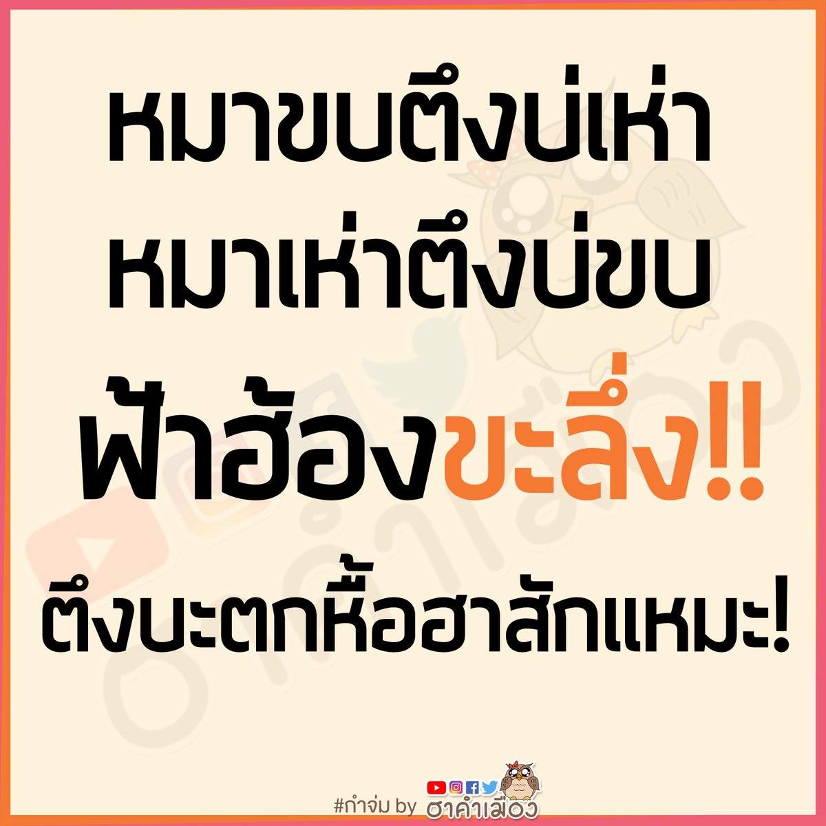HaKhamMuang's tweet photo. เปิงกำโบราณเปิ้นว่าแต่ะ
#กำจ่ม by #ฮาคำเมือง
ไปดีลืมกดไลค์ 👍 ติดดาว ⭐ หื้อเพจตวยนะจ๊ะ ❤️ https://t.co/72n2DTMxIQ