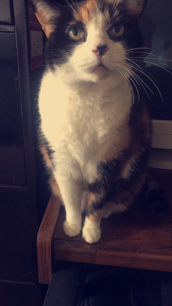 brittanylenay's tweet photo. My childhood best friend passed away &amp; I miss her so much already. Rest easy baby girl. 💔 https://t.co/YhSTIfwPHG