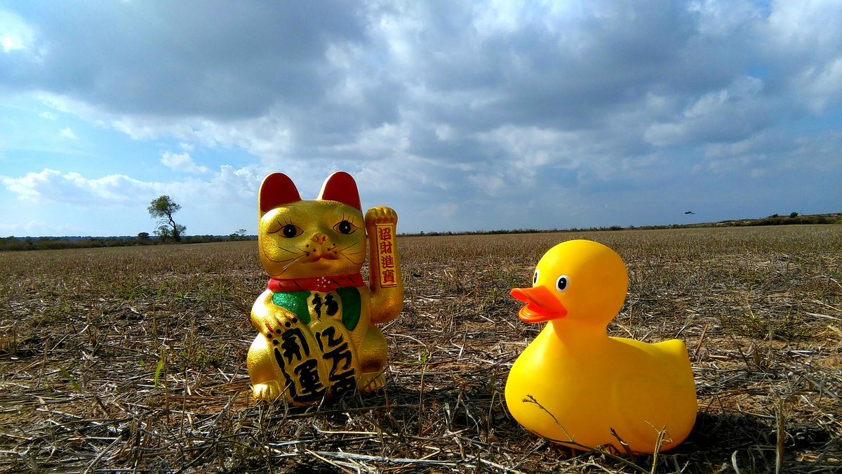 Aramrp's tweet photo. Bon Dia Mundial de l'Aigua!
Un dia per recordar que aquí no es rendeix ningú! La lluita continua i continuarà, ara és l'hora de remunicipalitzar l'aigua! #Movemnos!

#DiaMundialAigua 🌊🐥 https://t.co/OUwXMBGjo7