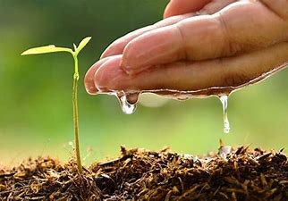 Sussex STEM tweet media