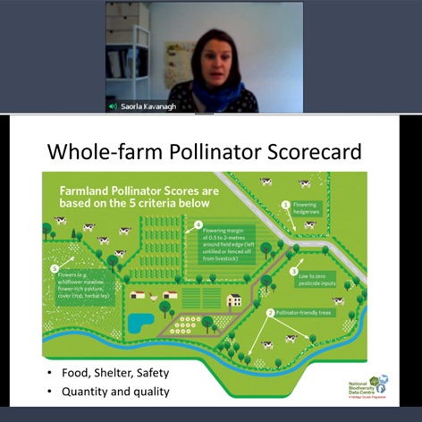InterregPROGRE1's tweet photo. A proposed #GoodPractice of Payment for Ecosystem Services is the Protecting Farmland Pollinators from Ireland by @saorlakk of @BioDataCentre #PESPROGRESS https://t.co/hpDSP1RlR9