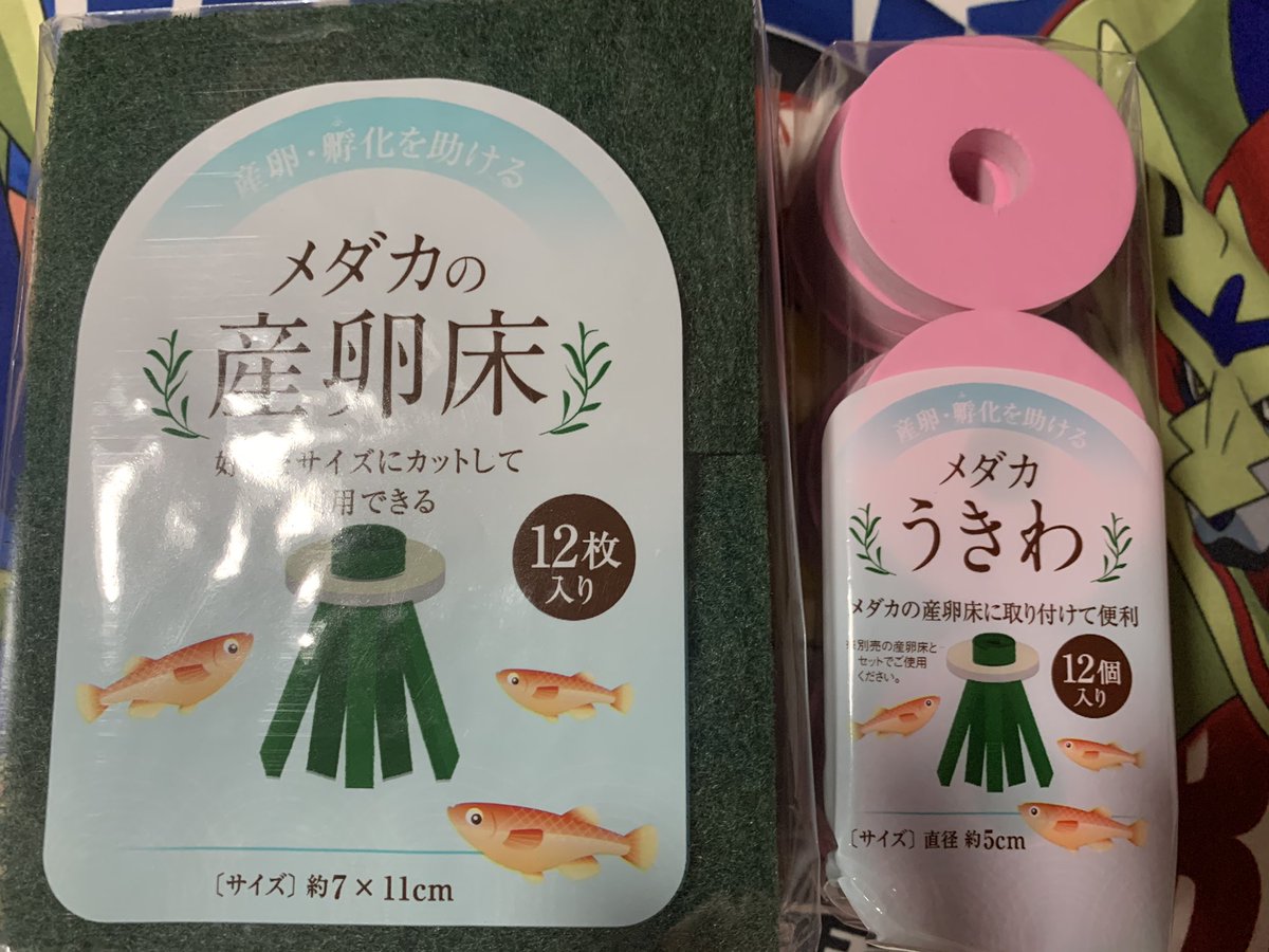 メダカの産卵床 メダカの産卵床